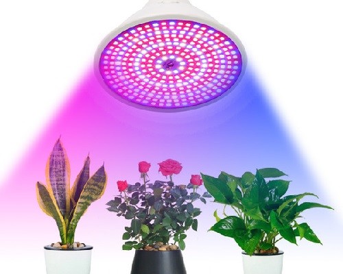 طیف نور لامپ رشد گیاه در محدوده فرابنفش